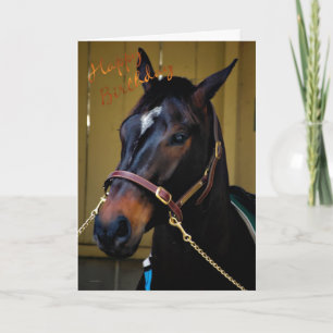Joyeux Anniversaire Cheval Carte Anniversaire Chev