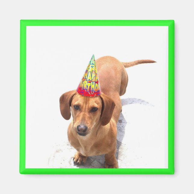 Joyeux Anniversaire Dachshund Magnet (Devant)
