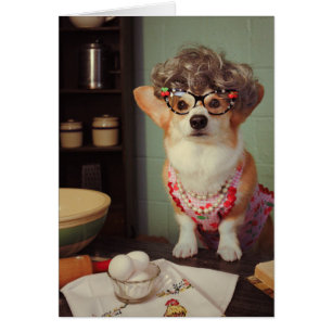 Joyeux anniversaire de corgi