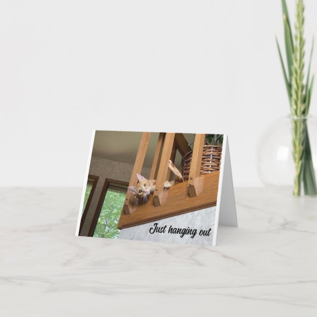 "Joyeux anniversaire" DE LA CARTE CHAT À SUSPENDRE (Devant)