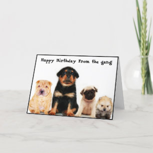 Joyeux anniversaire de la carte de voeux des chiot