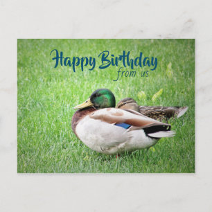Joyeux anniversaire de la carte postale