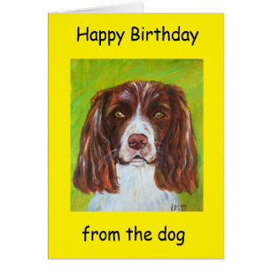 Joyeux anniversaire du chien