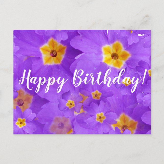Joyeux Anniversaire, Fleurs violettes Carte postal (Devant)