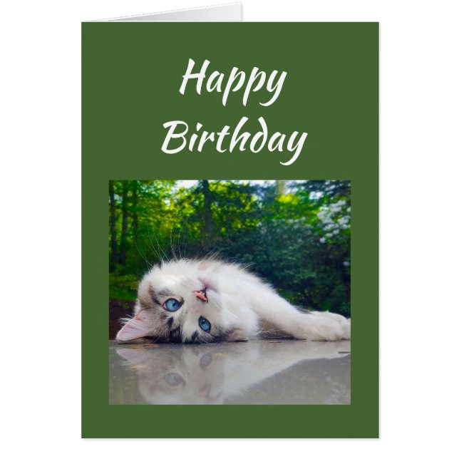 Joyeux anniversaire Funny Chat Humour persectif (Devant)