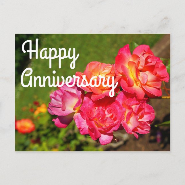 Joyeux anniversaire Joseph’s Coat Rose #1 Carte po (Devant)