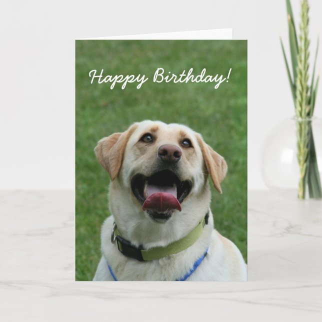 Joyeux anniversaire Labrador Retriever carte de vo (Devant)