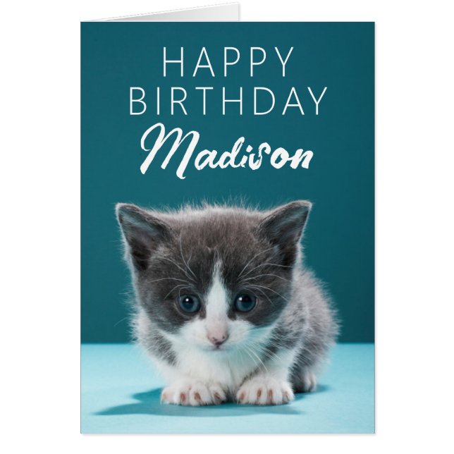 Joyeux anniversaire | Little Kitten (Devant)