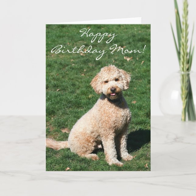 Joyeux anniversaire Maman Mini Goldendoodle carte  (Devant)