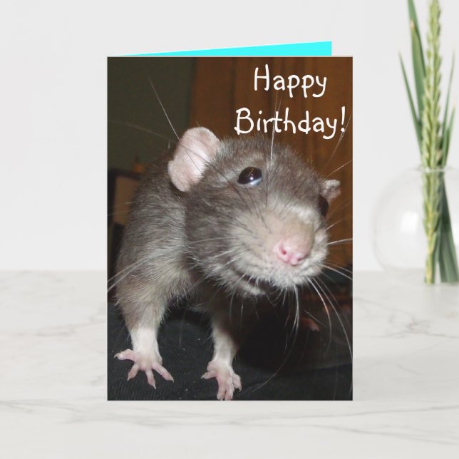 Joyeux anniversaire ! mignonne carte bleue rat (Devant)