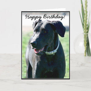 Joyeux anniversaire Noir Grande Danse carte de voe