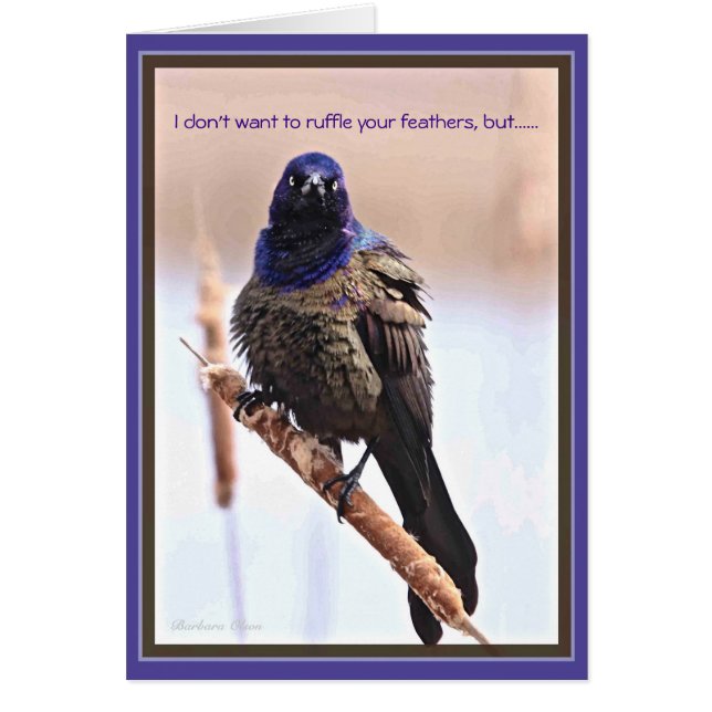 Joyeux Anniversaire : Plumes froissées (Devant)