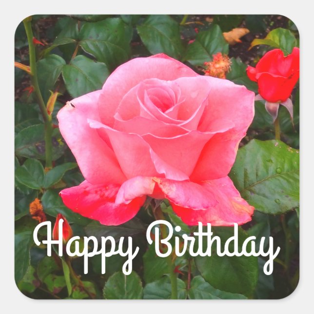 Joyeux Anniversaire Touché des Stickers Rose de cl (Devant)