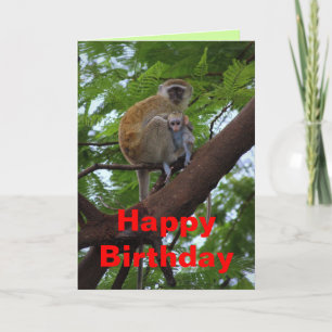 Joyeux anniversaire Vervet Monkey carte mère et en