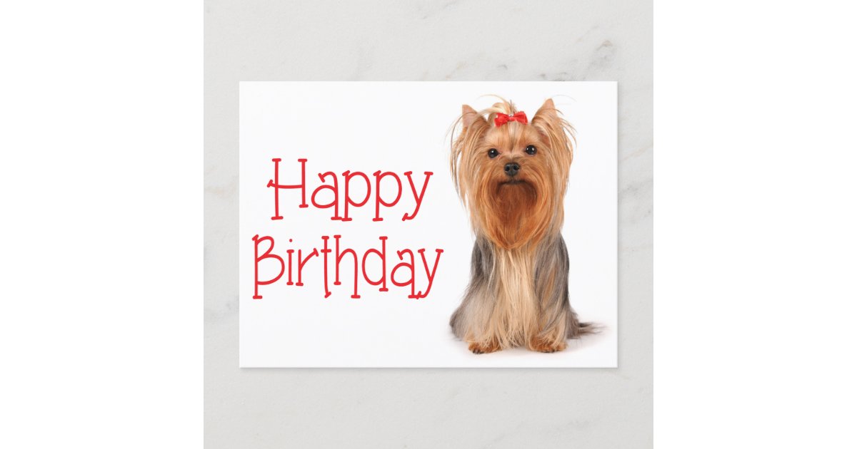 Joyeux Anniversaire Yorkshire Terrier Puppy Carte Zazzle Ca