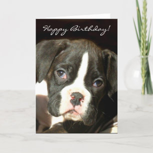 Joyeux Birthday Brindle boxer chiot carte de voeux