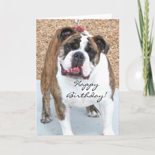 Joyeux Birthday English Bulldog carte de voeux (Devant)