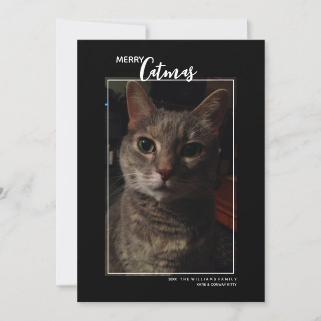 Joyeux Catmas Pet Photo Carte de vacances (Devant)