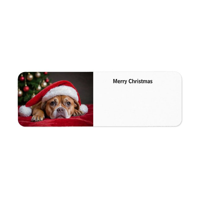 Joyeux chien de Noël (Devant)