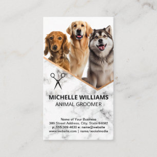 Joyeux Chiens assis   Carte de visite Groomer