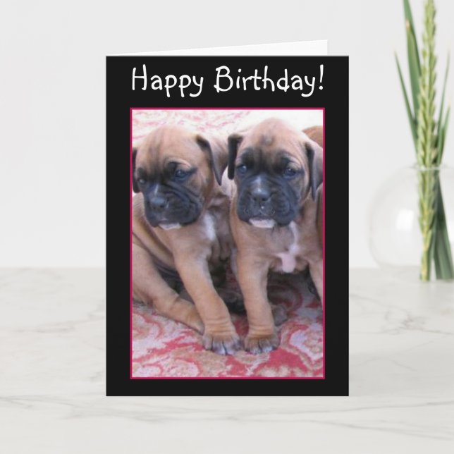 Joyeux chiot Boxer anniversaire carte de voeux (Devant)