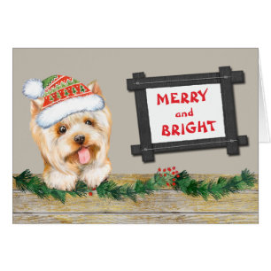 Joyeux et mignonne Noël de chien blanc