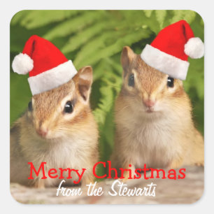 Joyeux Étiquettes Carrés de Noël avec Chipmunks bé