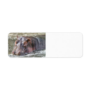 Joyeux Hippo