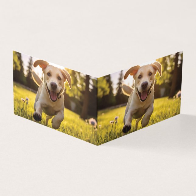 Joyeux Labrador Puppy Running (Outside)