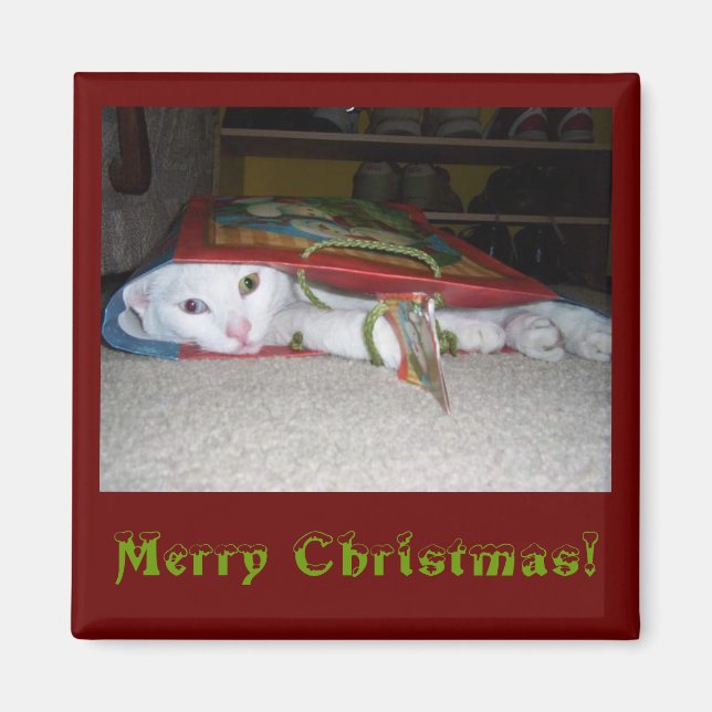 Joyeux Magnet de Noël ! (Devant)