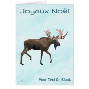 Joyeux Noё l - Oie rousse sur neige