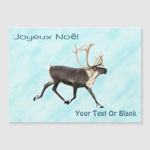Joyeux Noёl - Caribou (Reindeer) On Snow
