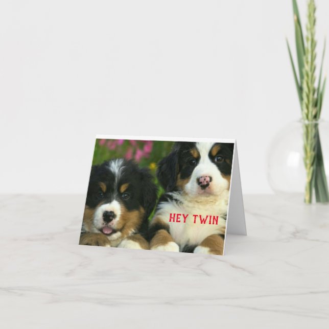 JOYEUX NOËL À UNE CARTE DE "JUMELLE" SPÉCIALE (Devant)