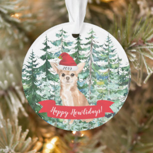Joyeux Noël au Chihuahua