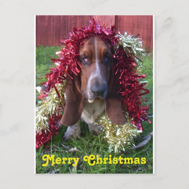 Joyeux Noël Basset Hound de carte postale dans la (Devant)