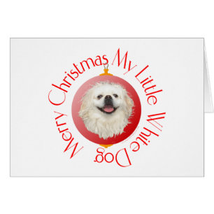 Joyeux Noël blanc Pekingese
