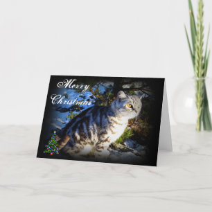 Joyeux Noël - Carte de voeux pour chat