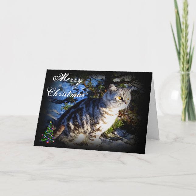 Joyeux Noël - Carte de voeux pour chat (Devant)
