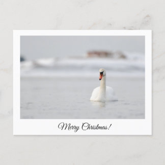 Joyeux Noël ! carte postale