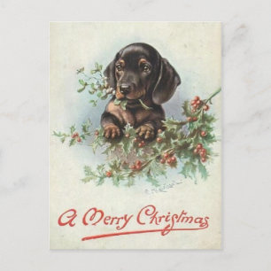 Joyeux Noël chien Teckel Postcard