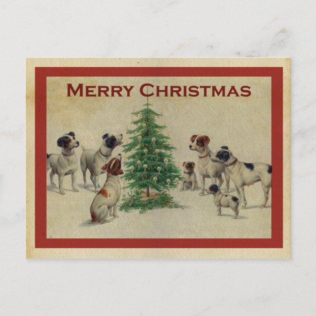 Joyeux Noël chiens Postcard (Front)