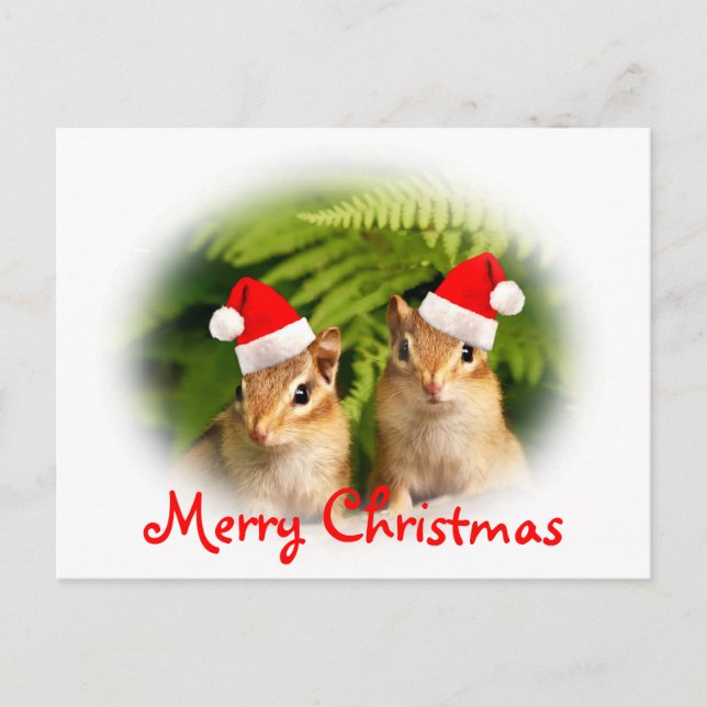 Joyeux Noël Chipmunks Carte postale (Devant)