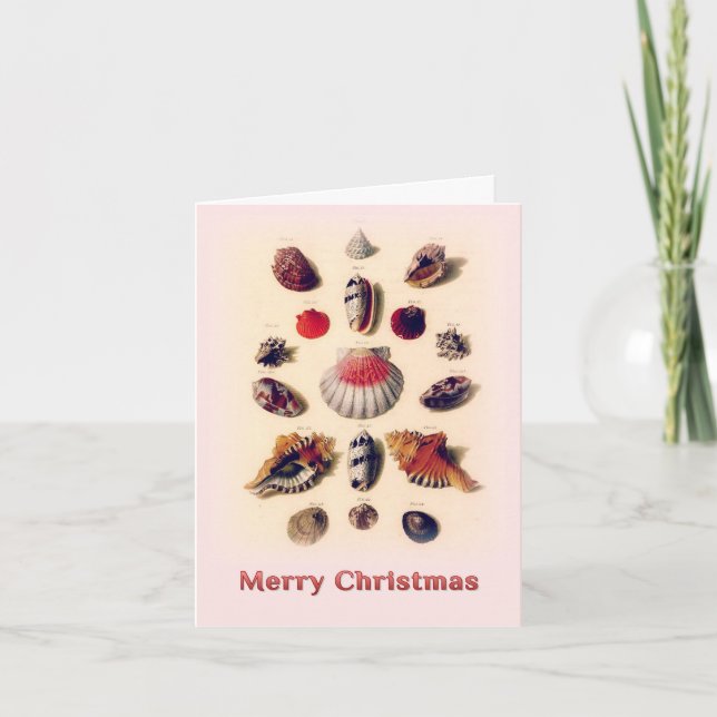 Joyeux Noël Coquillages rose Carte de voeux (Devant)
