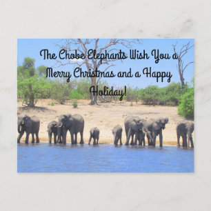 Joyeux Noël de la carte postale Eléphants Chobe