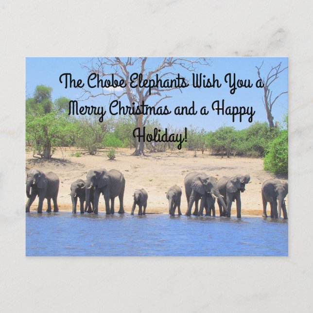 Joyeux Noël de la carte postale Eléphants Chobe (Devant)