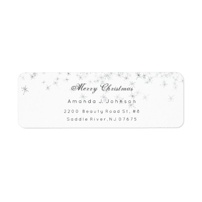 Joyeux Noël Délicat Argent Stars Adresse Neige (Devant)