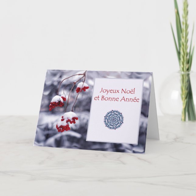 Joyeux Noel et Bonne Annee, Christmas in French Holiday Card (Front)
