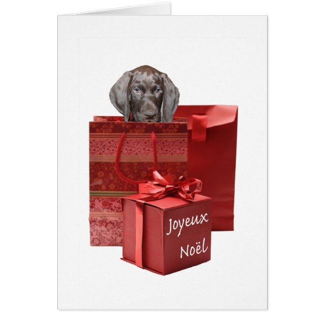 Joyeux Noël  german shorthaired pointer puppy (Front)