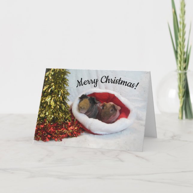 Joyeux Noël Guinée Carte de porc (Devant)
