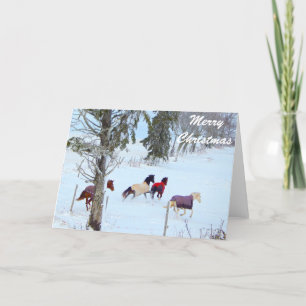 Joyeux Noël Horse Cartes